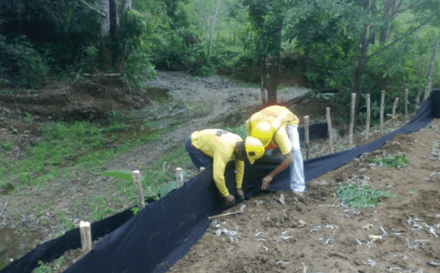 Erosion control